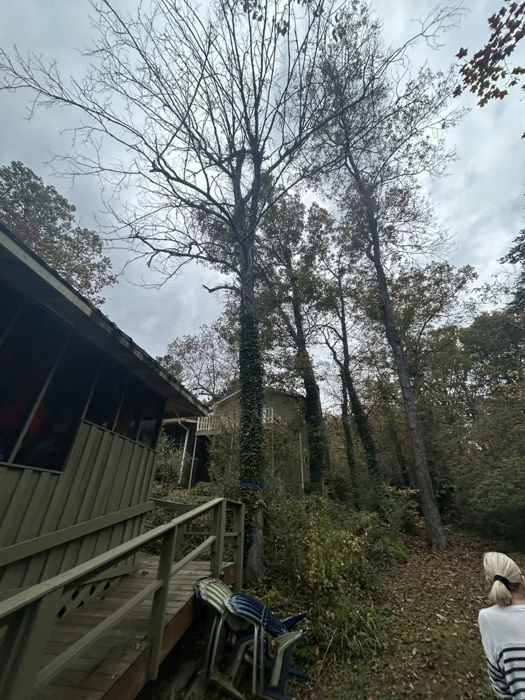 Local landscape installation in Rome, GA by Keiths Greenscapes