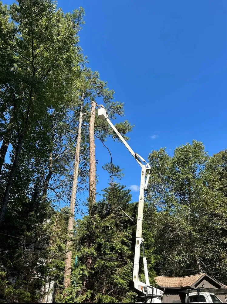 Reliable landscape installation experts serving Rome, GA - Keiths Greenscapes