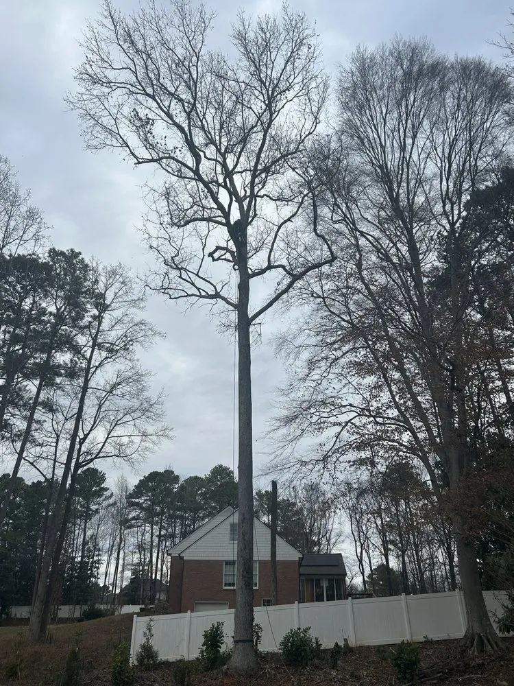 Reliable outdoor landscaping in Rome, GA by Keiths Greenscapes
