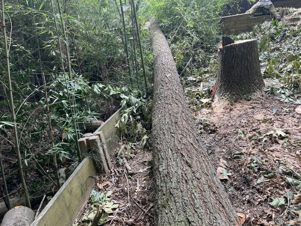 Professional residential landscaping in Rome, GA by Keiths Greenscapes