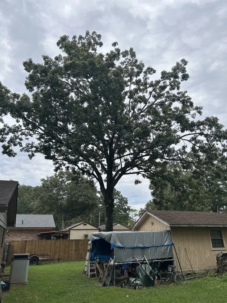 Reliable yard cleanup service for year-round maintenance in Rome, GA by Keiths Greenscapes