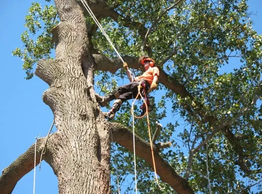 Reliable outdoor landscaping experts serving Sherman, TX - Keith's Landscaping & Lawn