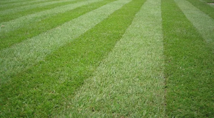 Affordable landscaping services with custom design across Sherman, TX - Keith's Landscaping & Lawn