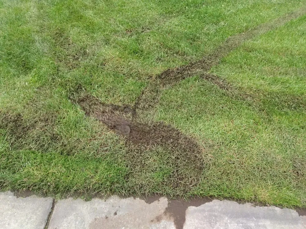 Reliable residential landscaping in Spokane, WA - Keith's Lawn & Landscape