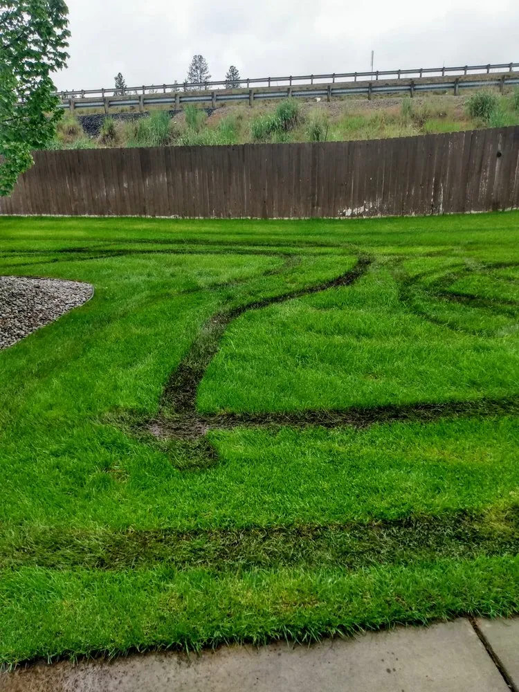 Reliable lawn mowing service for residential properties across Spokane, WA - Keith's Lawn & Landscape