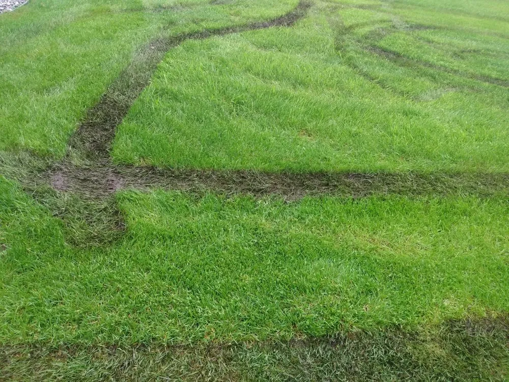 Trusted lawn care service with custom design in Spokane, WA by Keith's Lawn & Landscape