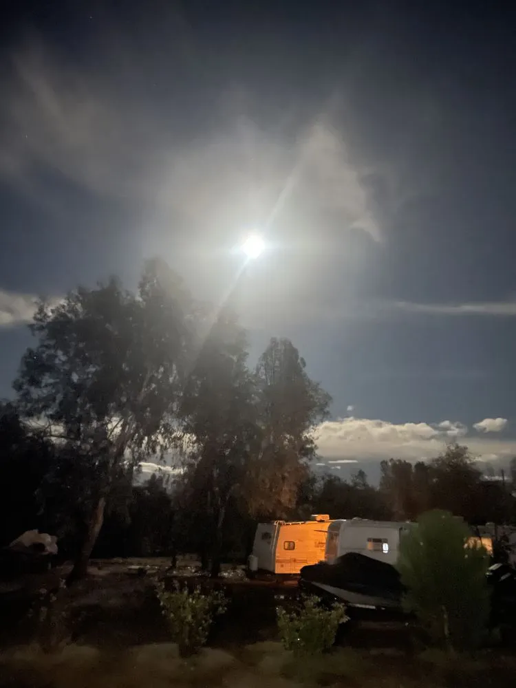 Expert lawn care service for residential properties in Anderson, CA by Keiths Lawn & More