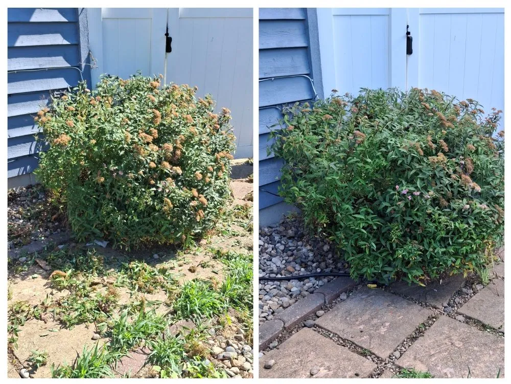 Reliable garden landscaping for beautiful yards across Bradley, IL - Keith's Lawn Care