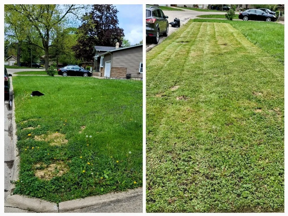 Professional outdoor landscaping for beautiful yards across Bradley, IL - Keith's Lawn Care