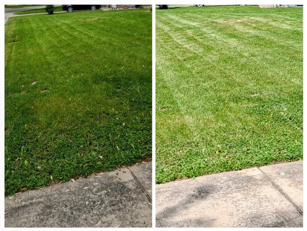 Custom landscape installation in Bradley, IL by Keith's Lawn Care