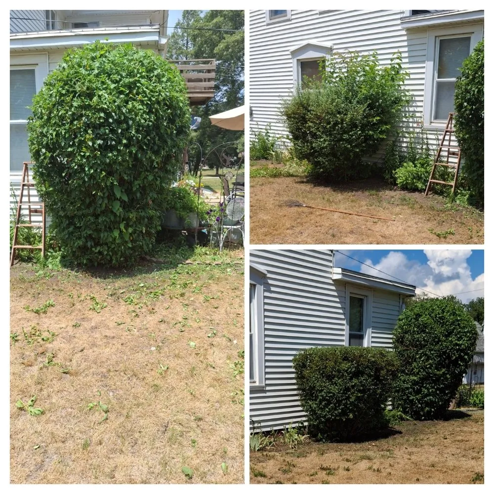 Expert landscape design in Bradley, IL by Keith's Lawn Care