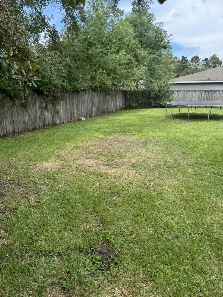 Trusted landscape design in Biloxi, MS - Keith’s Lawn Services