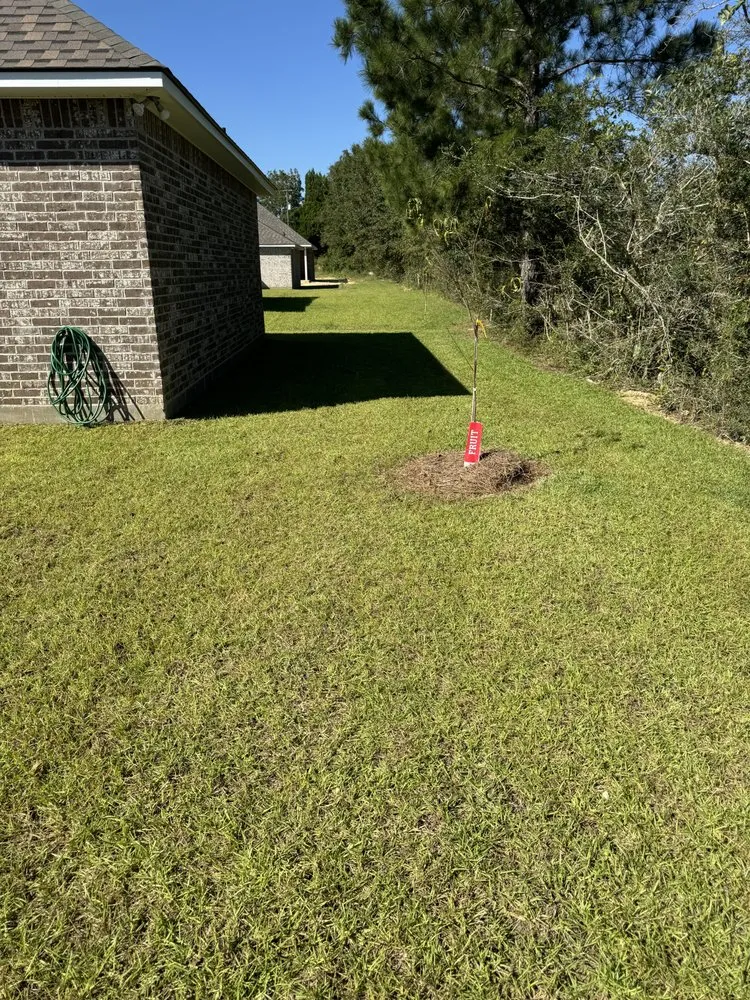 Reliable yard cleanup service experts serving Biloxi, MS - Keith’s Lawn Services