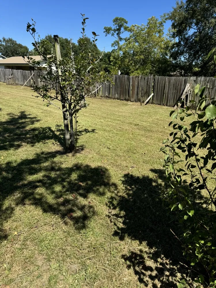 Trusted outdoor landscaping experts serving Biloxi, MS - Keith’s Lawn Services