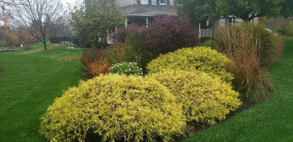 Top-rated lawn care service for outdoor upgrades across Harrisburg, PA - Keith's Lawns