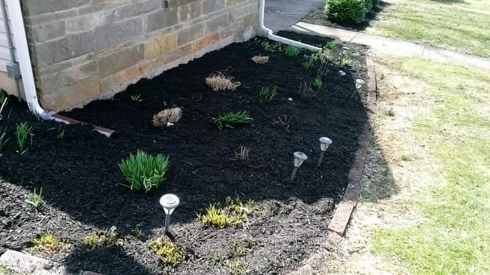 Top-rated landscaping services in Harrisburg, PA by Keith's Lawns