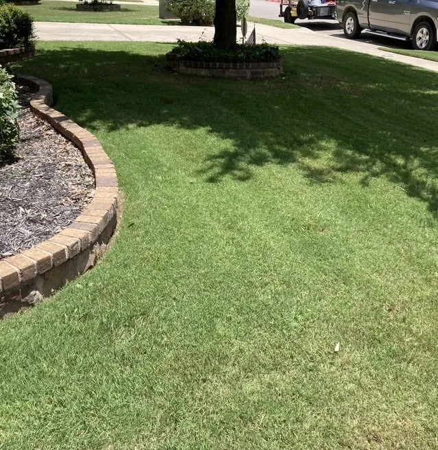 Local landscaping services experts serving Buda, TX - Keith’s Yards and More