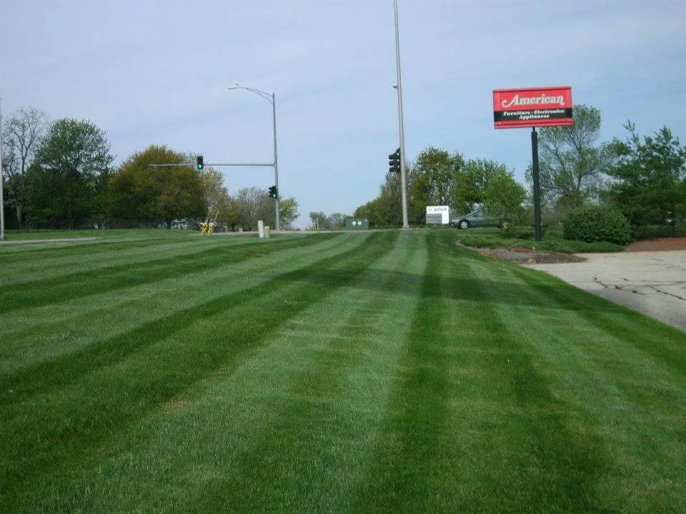 Expert landscaping services in Edwards, IL - Kelch Turf Farm & Landscaping