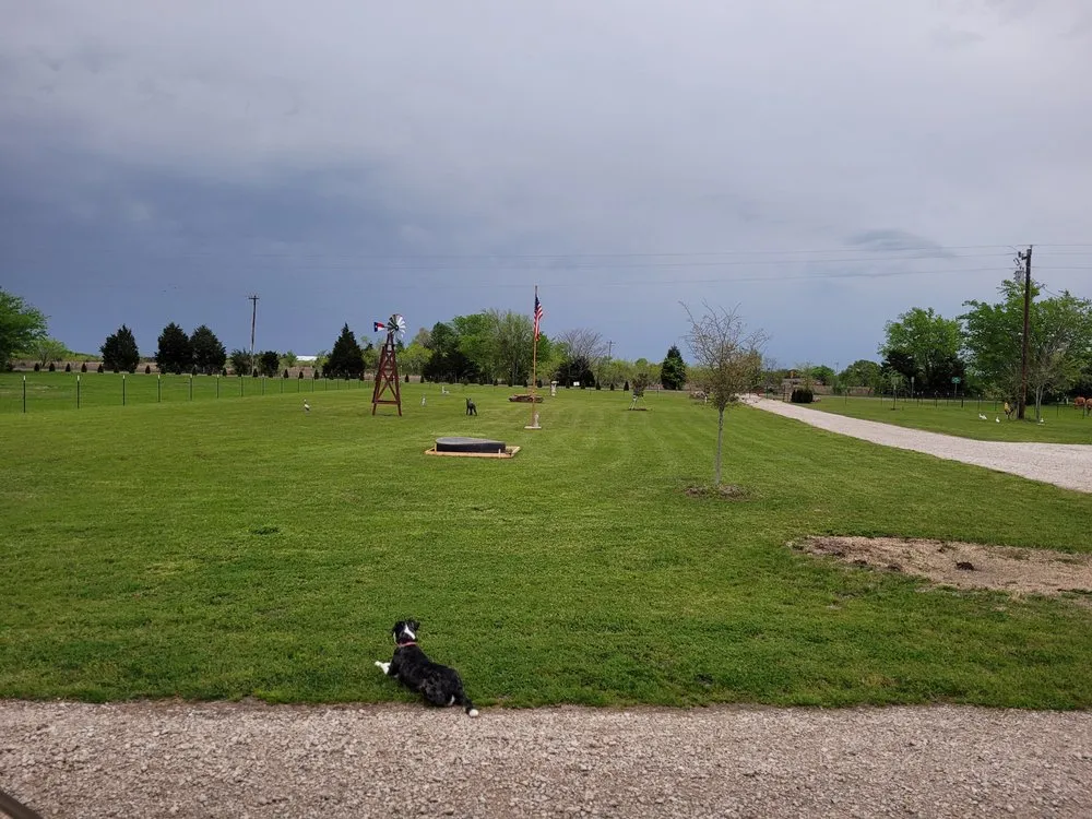 Affordable yard maintenance for outdoor upgrades in Mabank, TX by Kelco Lawn Service