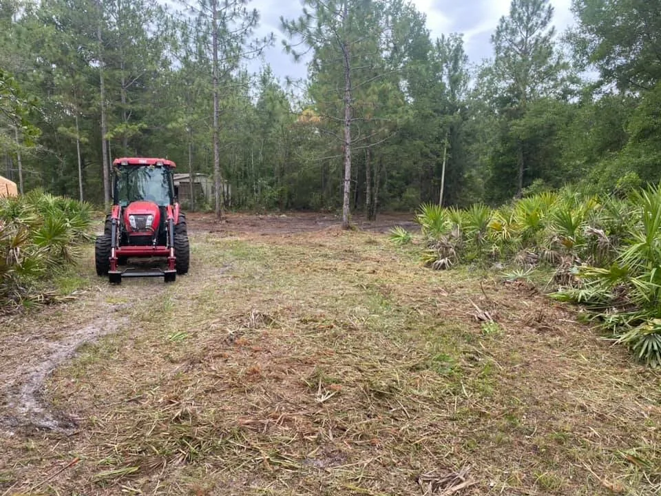 Trusted landscape design for beautiful yards in Middleburg, FL by Kellar of N FL