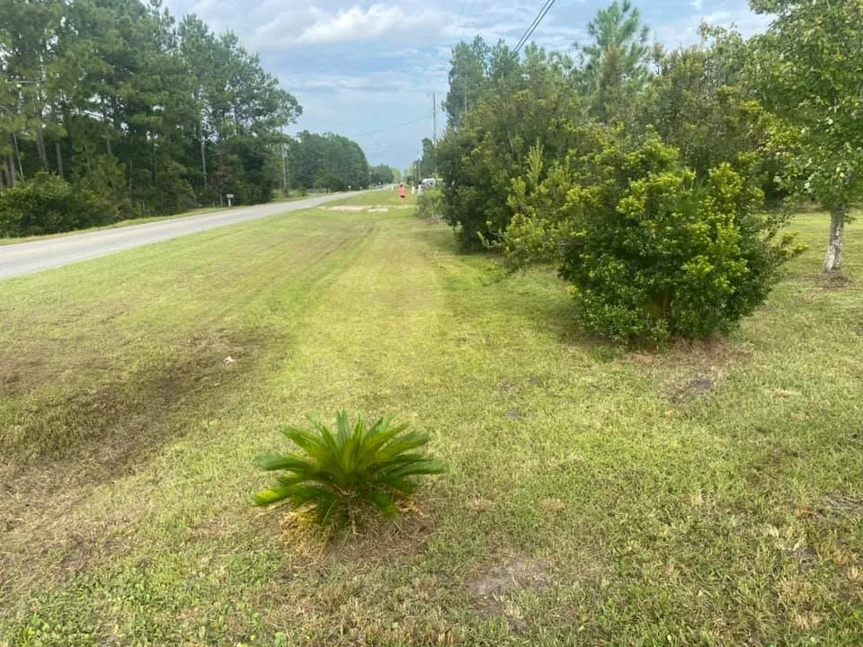 Custom landscaping services for outdoor upgrades across Middleburg, FL - Kellar of N FL