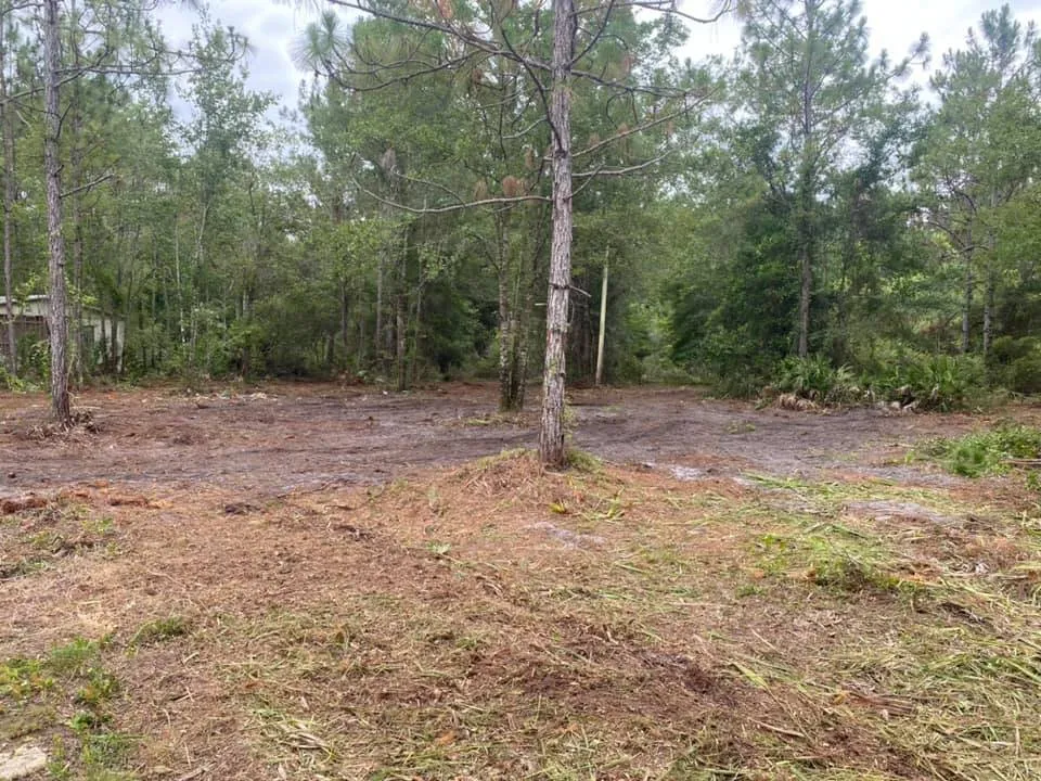 Professional yard maintenance for homes across Middleburg, FL - Kellar of N FL