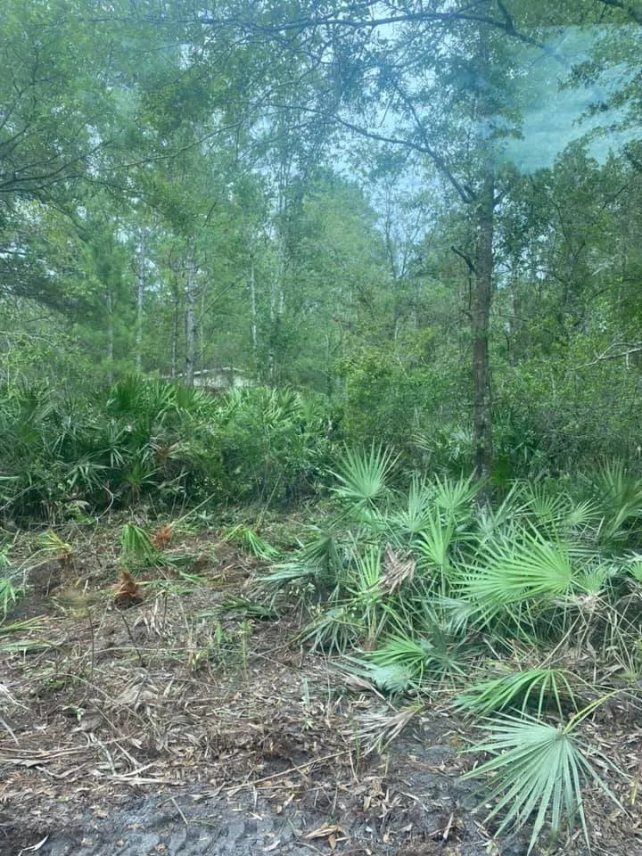 Top-rated lawn care service in Middleburg, FL - Kellar of N FL