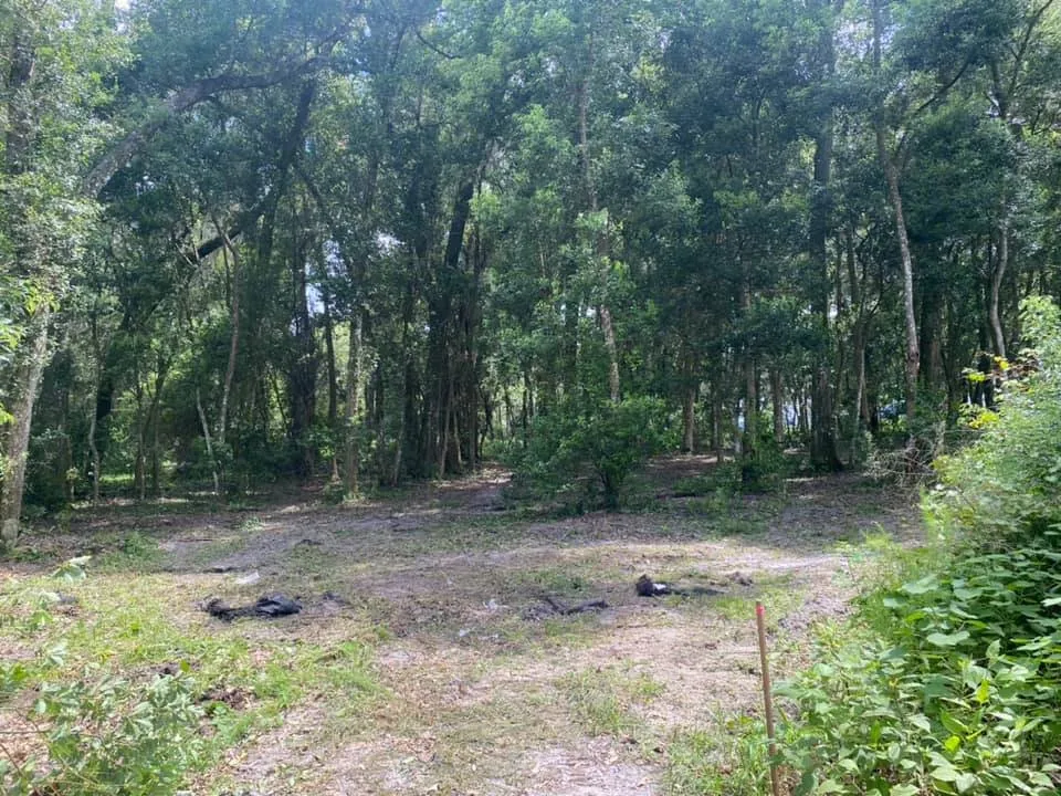 Expert residential landscaping near you in Middleburg, FL by Kellar of N FL