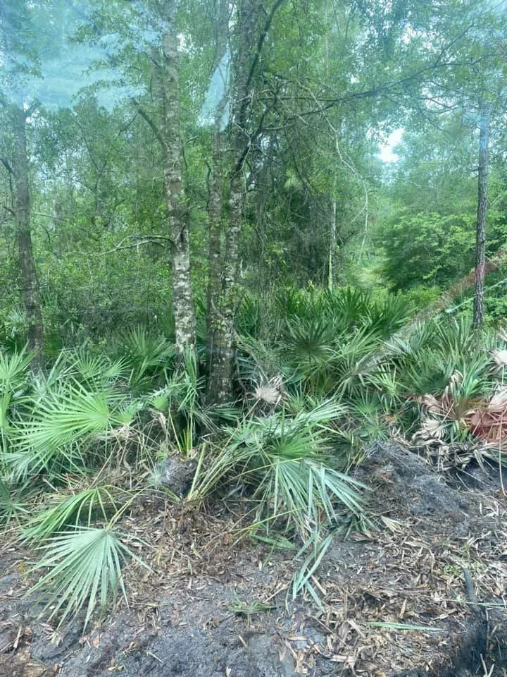 Top-rated landscaping services in Middleburg, FL - Kellar of N FL