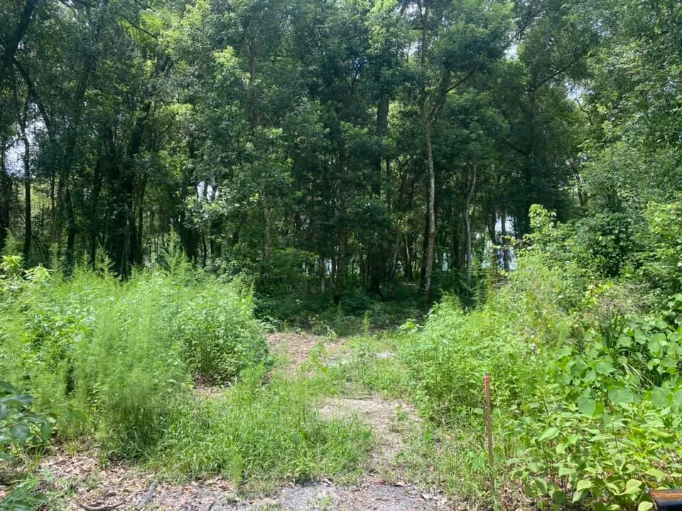 Professional outdoor landscaping in Middleburg, FL by Kellar of N FL