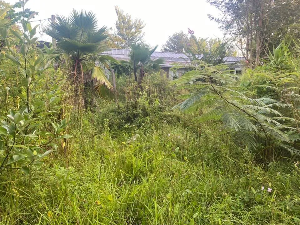 Reliable lawn care service in Middleburg, FL - Kellar of N FL