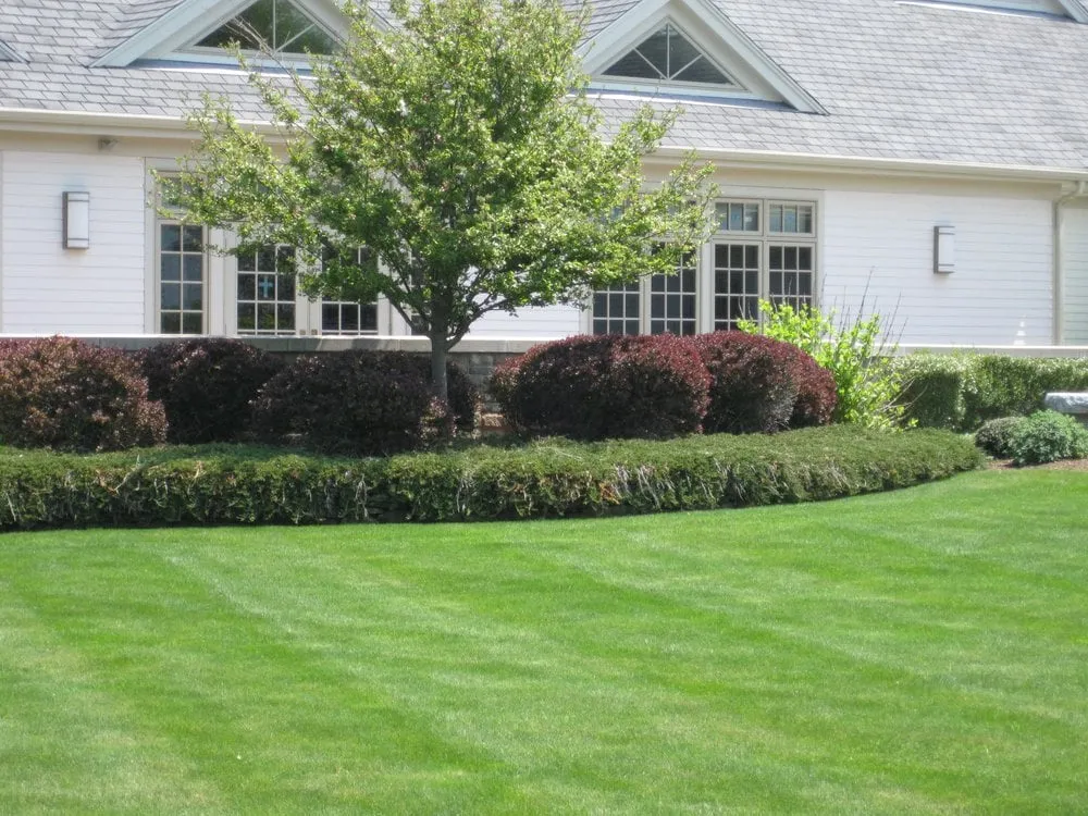 Top-rated residential landscaping experts serving Scituate, MA - Kelleher & Co Landscape Design