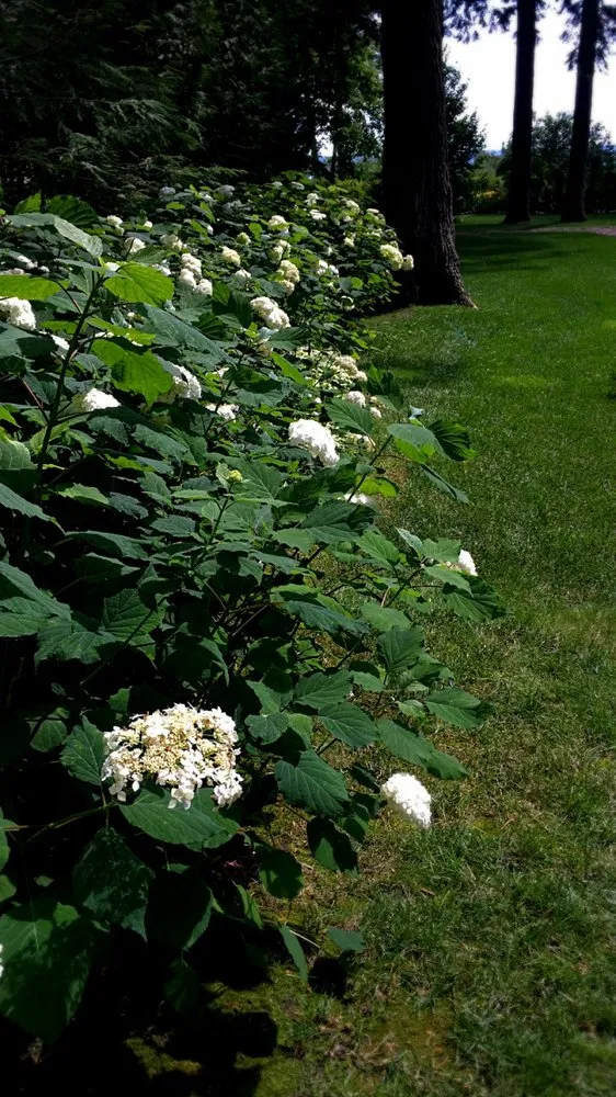 Custom residential landscaping in Harbor Springs, MI - Keller Caretaking