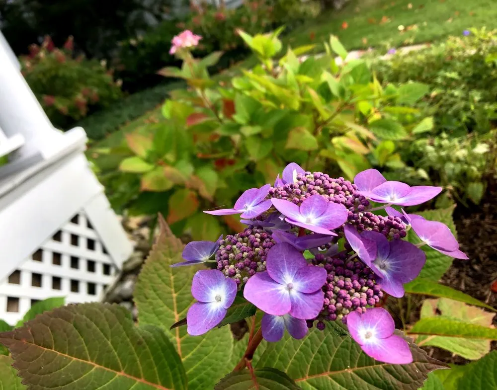 Top-rated outdoor landscaping experts serving Harbor Springs, MI - Keller Caretaking