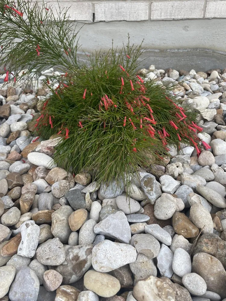 Expert outdoor landscaping for year-round maintenance in Florence, TX by Keller Commercial & Home Services