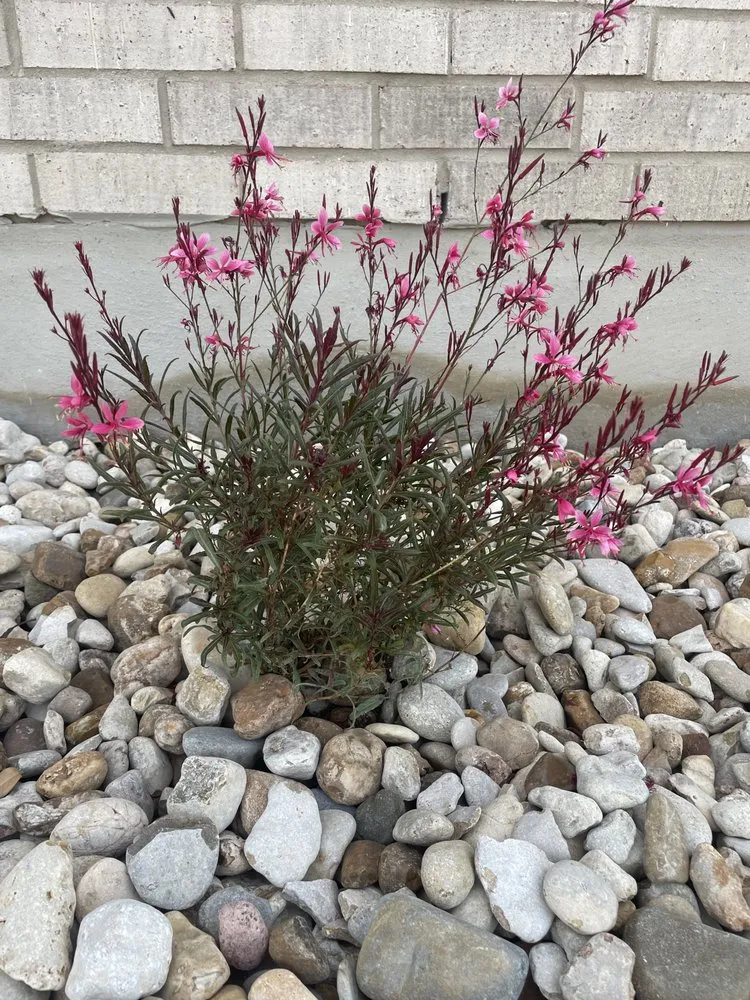 Professional landscape installation in Florence, TX - Keller Commercial & Home Services