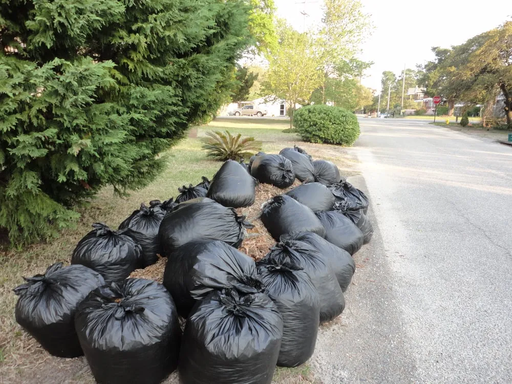 Affordable yard maintenance in North Myrtle Beach, SC by Keller Construction and Landscaping