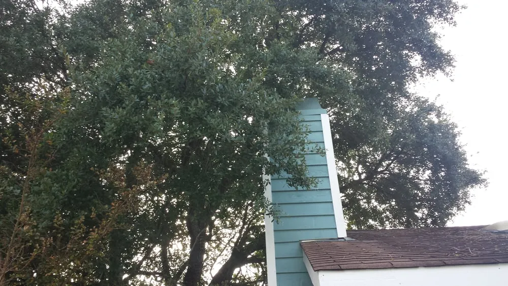 Expert landscaping services for year-round maintenance in North Myrtle Beach, SC by Keller Construction and Landscaping