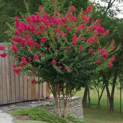 Reliable lawn mowing service for year-round maintenance across Clifton, VA - Keller Lawn Services