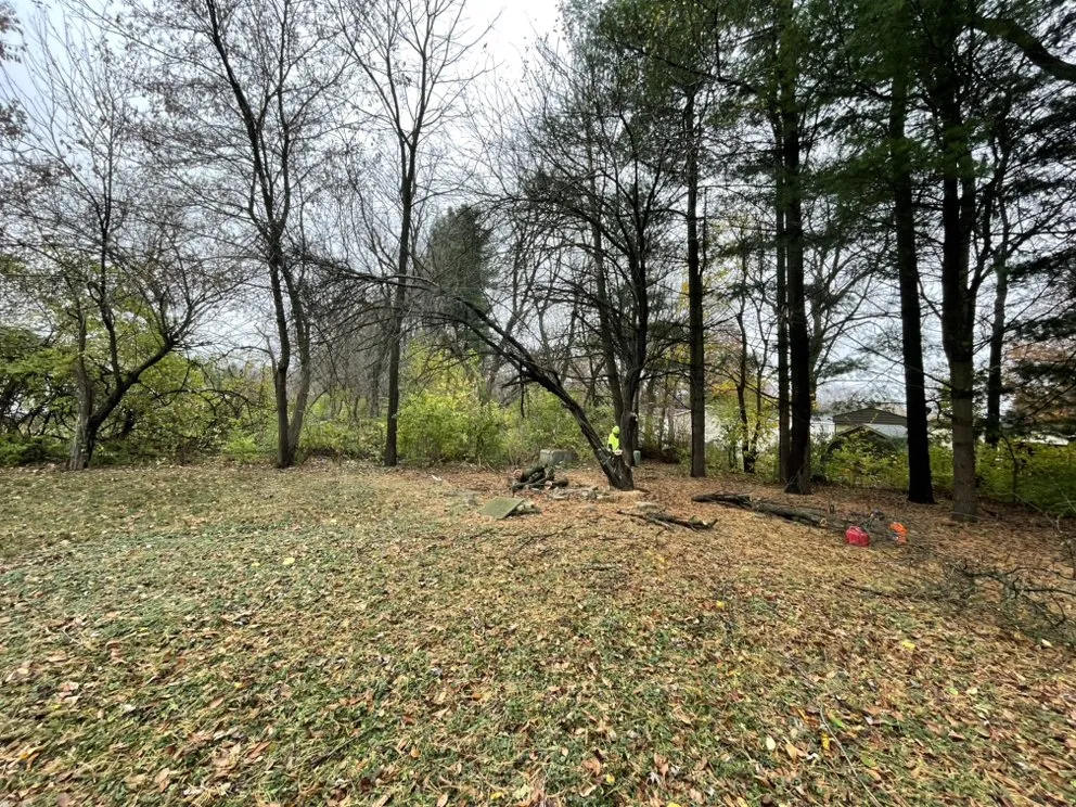 Reliable landscaping services in Rockford, IL by Keller Property Upkeep and Preservation