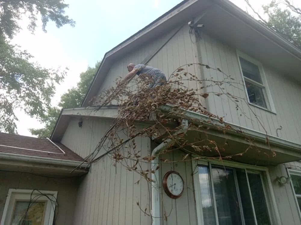 Expert lawn care service for year-round maintenance in Rockford, IL by Keller Property Upkeep and Preservation