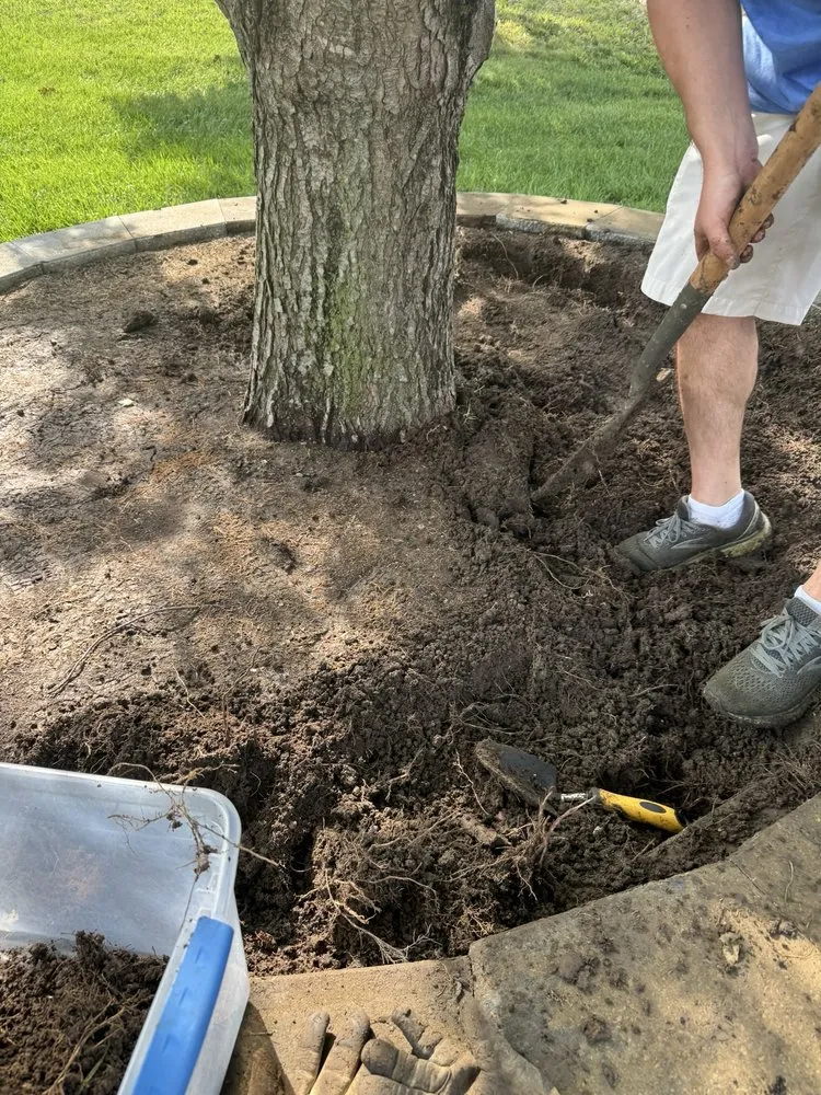 Top-rated lawn care service experts serving Kansas City, MO - Keller's Landscaping