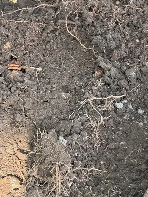 Keller's Landscaping Logo