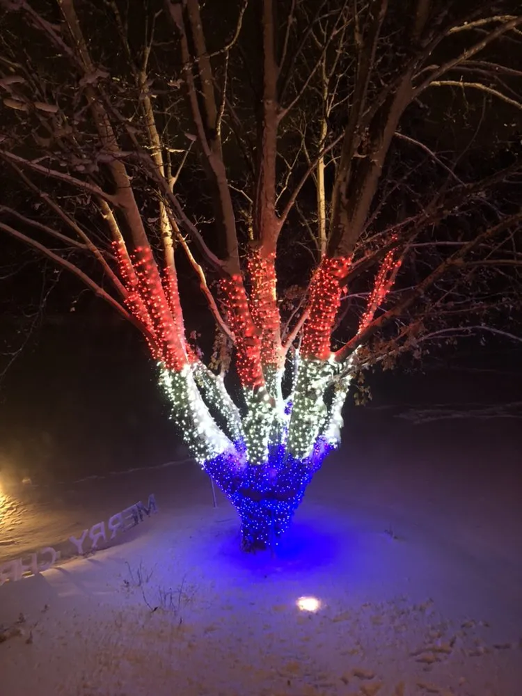 Trusted lawn care service in Libertyville, IL - Kelley Landscape & Patio