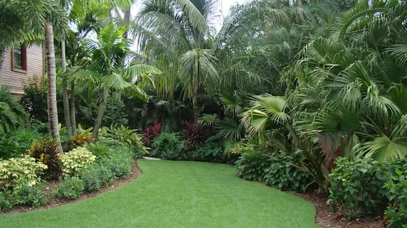 Professional landscaping services in Port Charlotte, FL - Kelley's Green Lawnscape