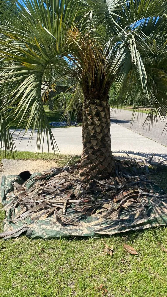 Custom yard maintenance experts serving Crawfordville, FL - Kelley’s lawn and landscape