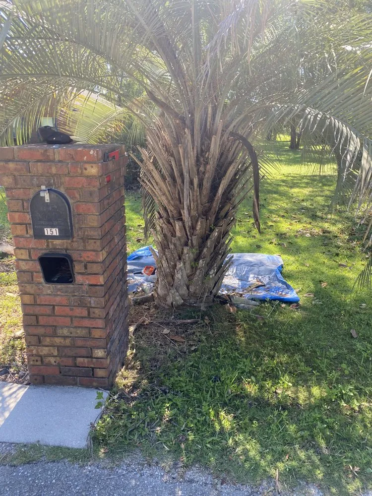 Reliable landscape installation for outdoor upgrades across Crawfordville, FL - Kelley’s lawn and landscape