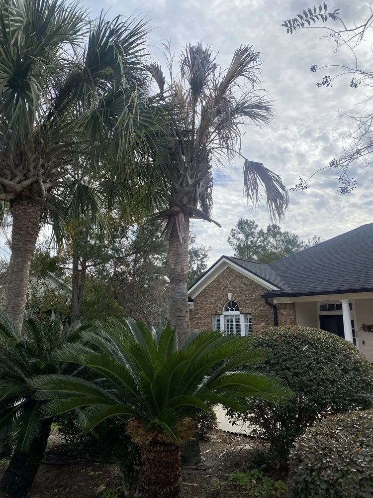 Expert landscaping services in Crawfordville, FL by Kelley’s lawn and landscape