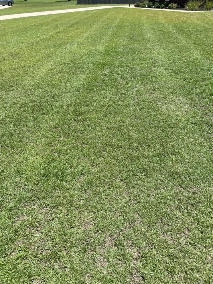 Reliable residential landscaping experts serving Jay, FL - Kelley’s Lawn Service