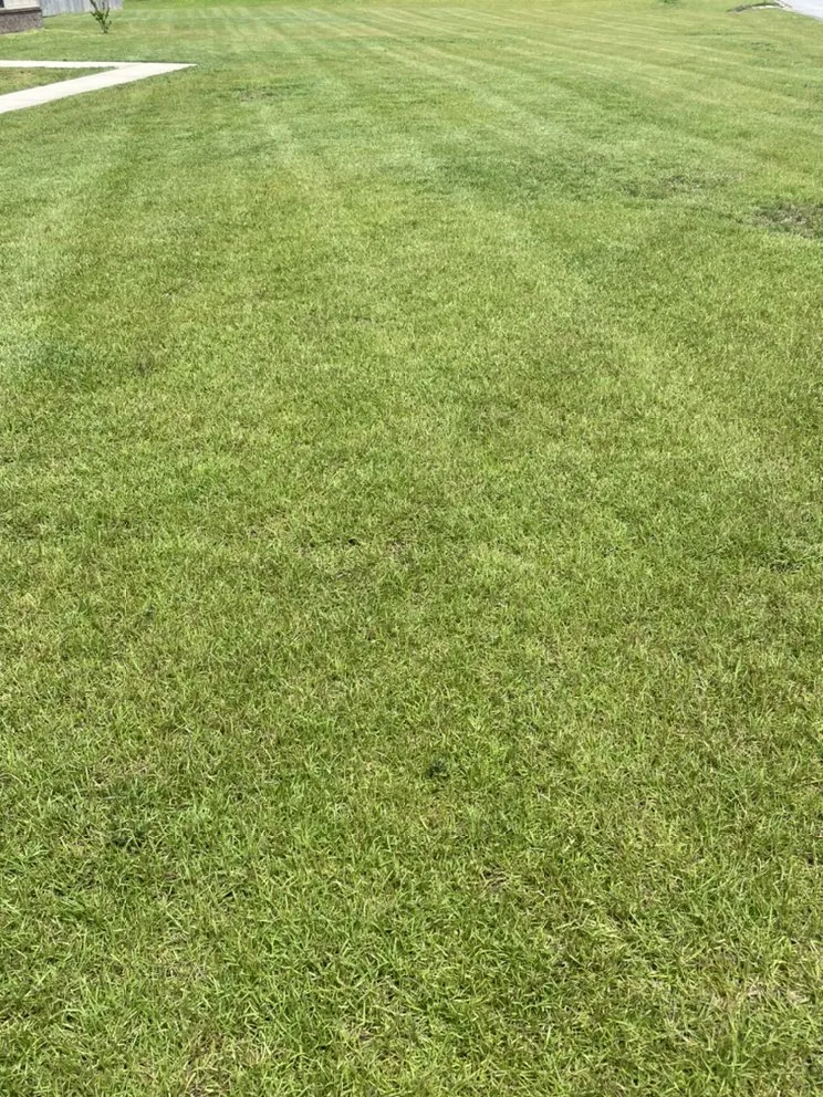 Trusted outdoor landscaping for beautiful yards across Jay, FL - Kelley’s Lawn Service
